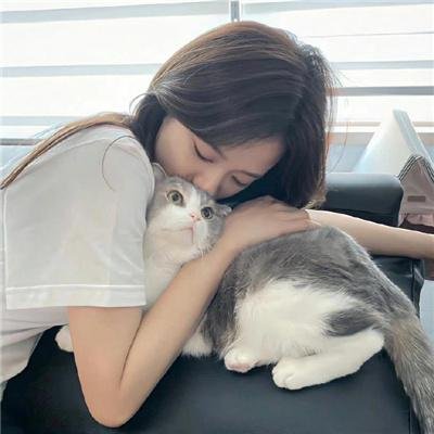 交火碎梦